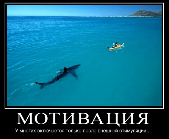 мотивация в бизнесе